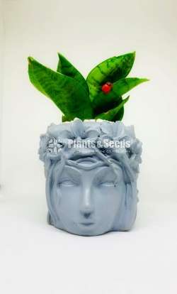 Mold face Cement Pots