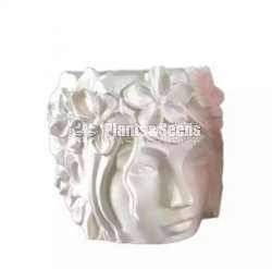 Mold face Cement Pots