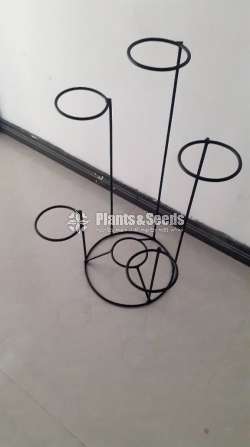 Plant Rack
