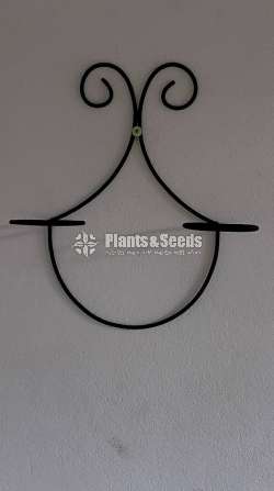 Plant Rack