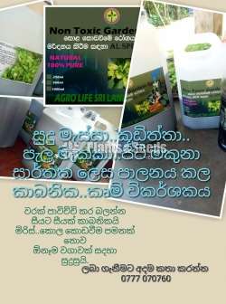  Organic Insect Reppler
