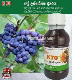 Flower and Fruit Stimulator Liquid(මල් සහ පල උත්තේජක දියරය)
