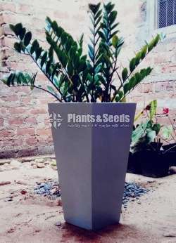 Titanium plated pots