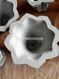 Titanium Pots and Fiber Mold (පෝච්චිය සහ අච්චුව)