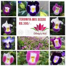 Flower Seeds