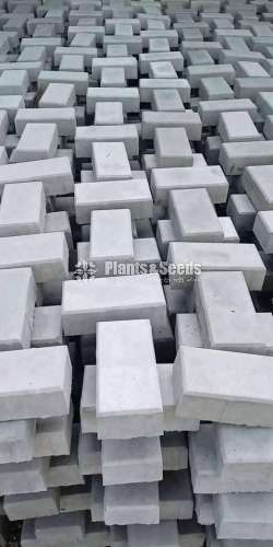 Interlock