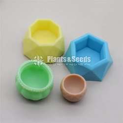 Silicon mold - Cactus pots