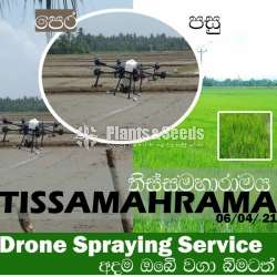 Drone Spraying System 