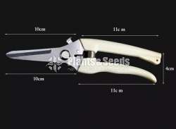 Bonsai scissors 