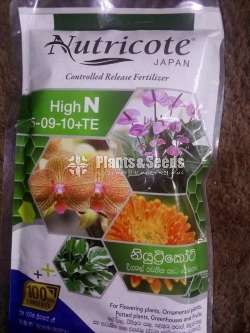 Nutricote for Anthurium and Orchids