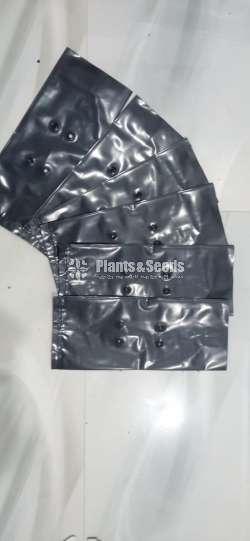 Plastic Covers