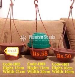 Hanging Pots Collection