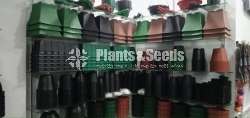 Plastic Pots for  Whole Sale 