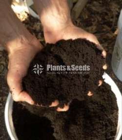 Compost Fertilizer