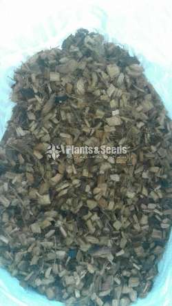 Coconut husk ( පොල්ලෙලි කැබලි )