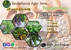 Vegetable Seeds