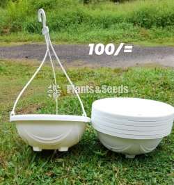 Hanging Pots Collection