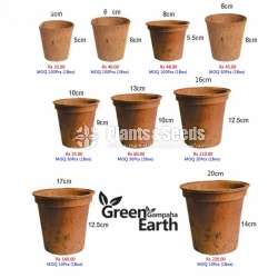 Coir containers(කොහු බඳුන් )