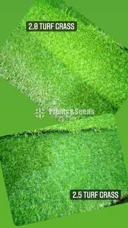 ARTIFICIAL TURF GRASS