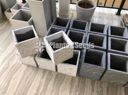 Cement Pots
