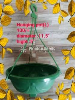 Hanging Pots Collection