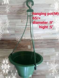 Hanging Pots Collection