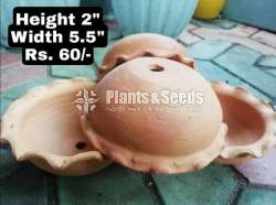 Clay Pots