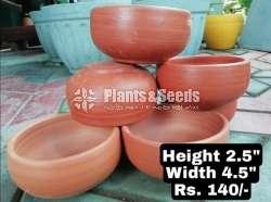 Clay Pots