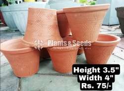Clay Pots