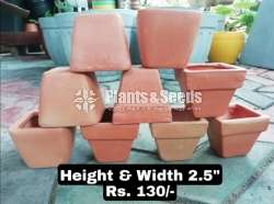 Clay Pots