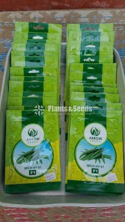 Mich hy1 Miris Seeds