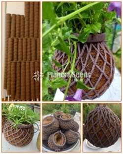 Flower Pots