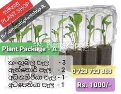 Flowers and Plants Package 