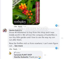 Flowers and Plants Package 