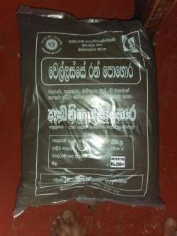 Organic Fertilizer (කාබනික පොහොර )