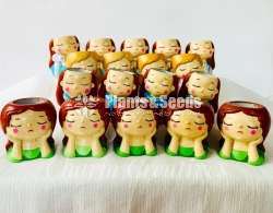 Dollies Pots