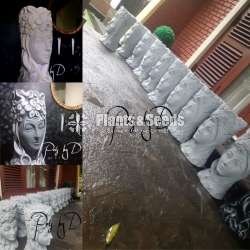 Queen face pot