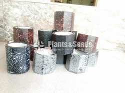 Cactus Pots