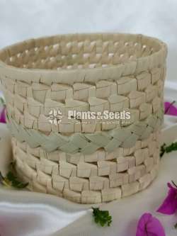 Palmyra holder Basket