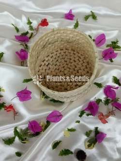 Palmyra holder Basket