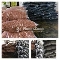Coco Husk ( පොල්ලෙලි කැබලි)