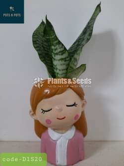 Decorative Cactus Pots(විසිතුරු මල් පැළ පොච්ච් )