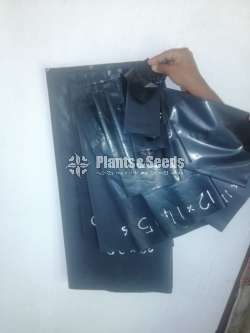 Polythene packets (කහ වගාව සඳහාම)