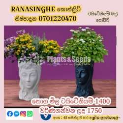 Queen face pot