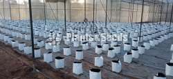 UV  Grow Bags