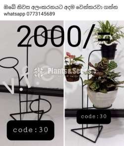 Plant Racks