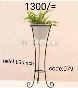 Plant Racks