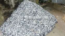 Pebbles for garden and plants