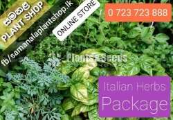 ITALIAN HERBS PACKAGE