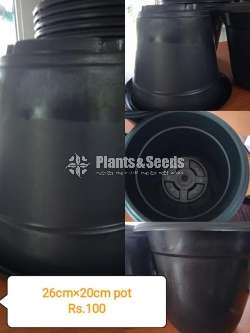 Plastic Pots (ප්ලාස්ටික් පොට්.)